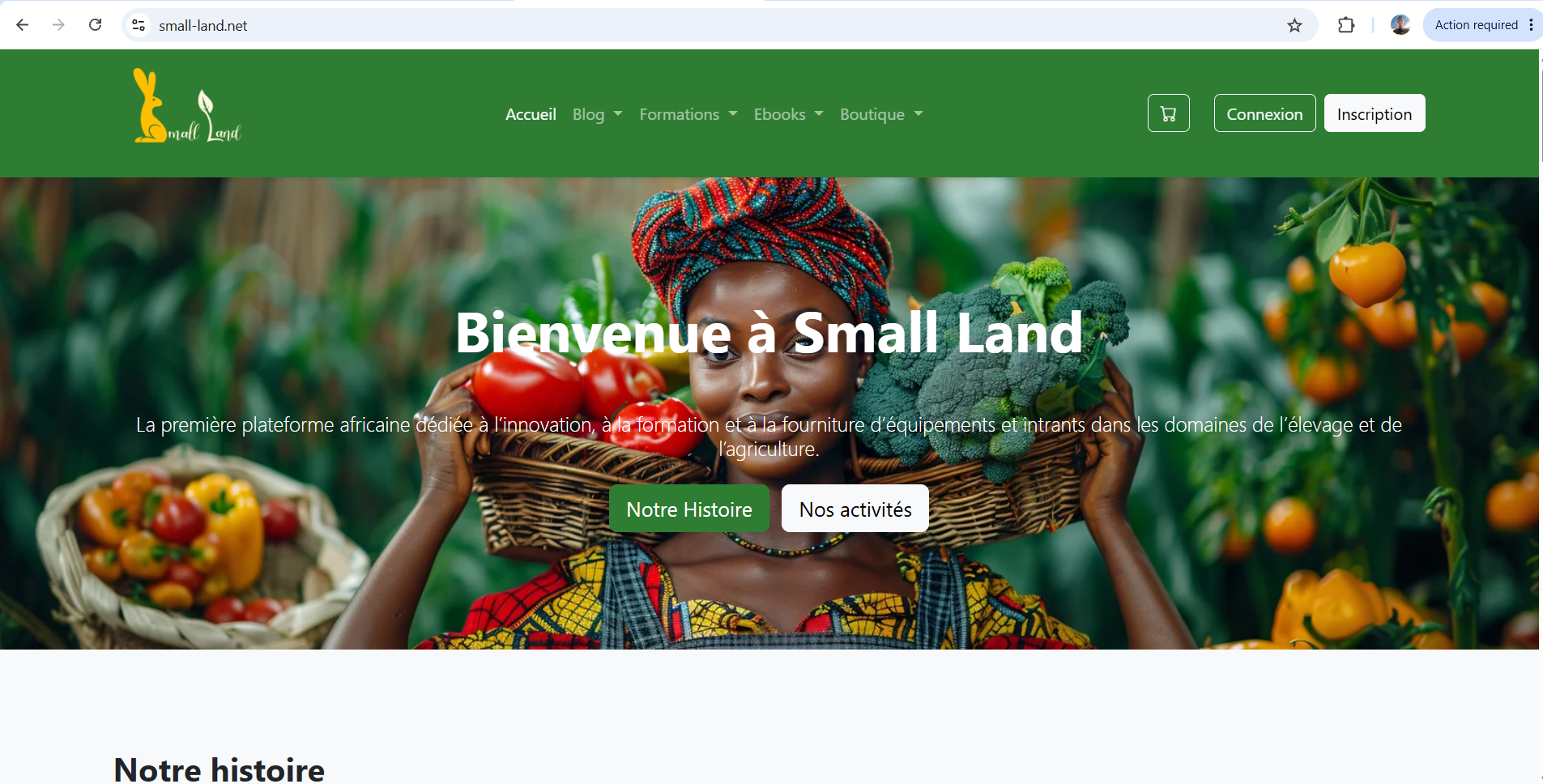 Small Land - Plateforme de E-commerce et E-learning par COCOUVI Alexandro
